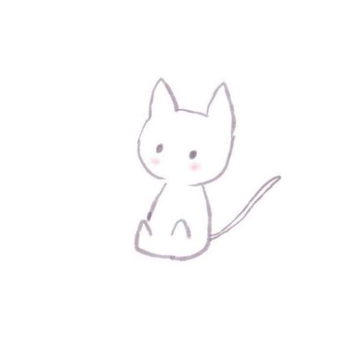 海獭|12个你不知道的动物冷知识，真的是太冷了