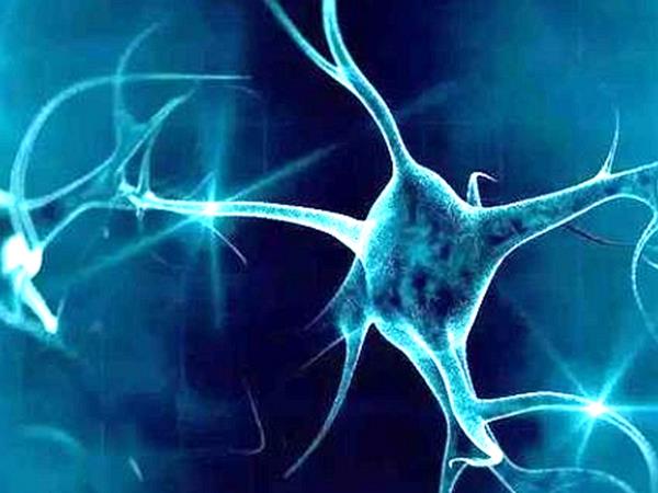 科学家:人去世后,150年后会再次来到人间?科学家给出解释