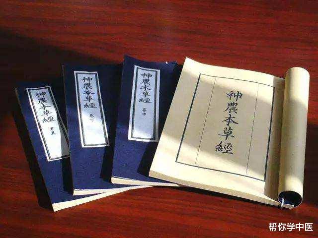 桑葚|一味药，染黑人间少白头！这张小方子，融入两千年智慧，值得学