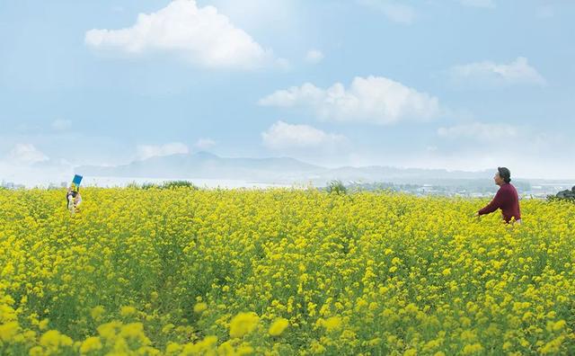 「韩国电影」近几年优秀的韩国电影都在这了!