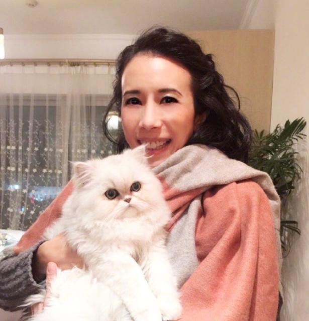 |带你参观莫文蔚的豪宅，头一次见在客厅中间做凉亭，面积也太大了