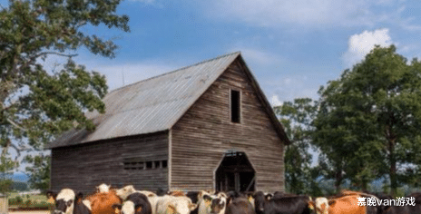 「澳大利亚」澳大利亚损失惨重？352亿牛肉滞销港口，美英捡了大便宜