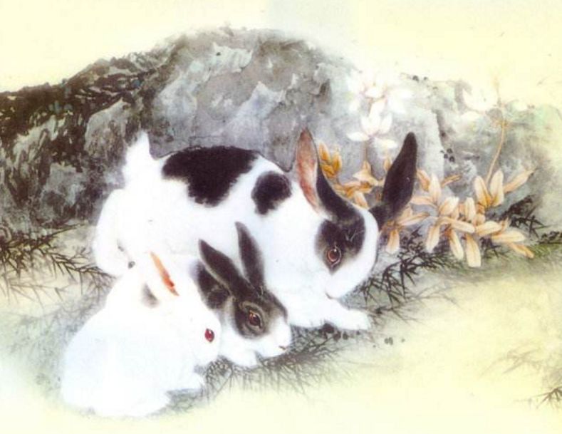 属龙▲生肖龙，3月会让你“痛哭流涕”，是喜还是悲，劝你看看