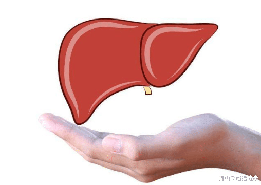肝脏|“晨起”出现这4个症状，或是肝硬化“信号”，占1个，不容忽视