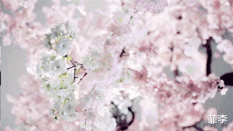 #茶叶#从野生小透明到颜值担当,桃子在几千年前就开始“整容整形”之路