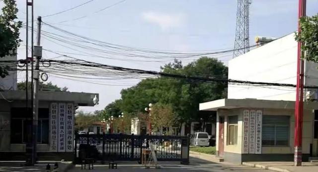 审计局■\我寒窗苦读，你金榜题名\贫困女上大学遭替：初中不让自己吃饱