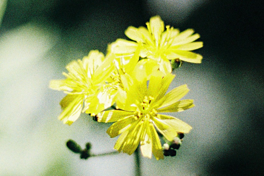 生肖|心思细腻，待人体贴的星座女，懂得换位思考，遇到了别错过