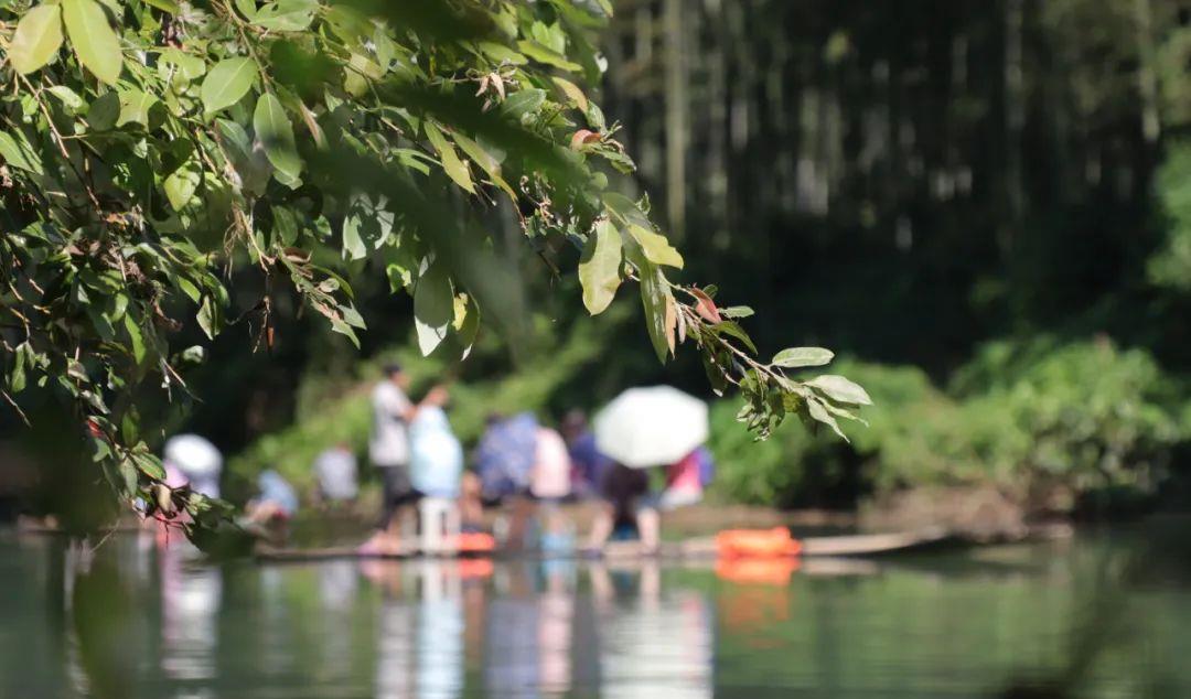 宏村|驾游皖南金项链：不必去远方，最美皖南风景道就在S222省道