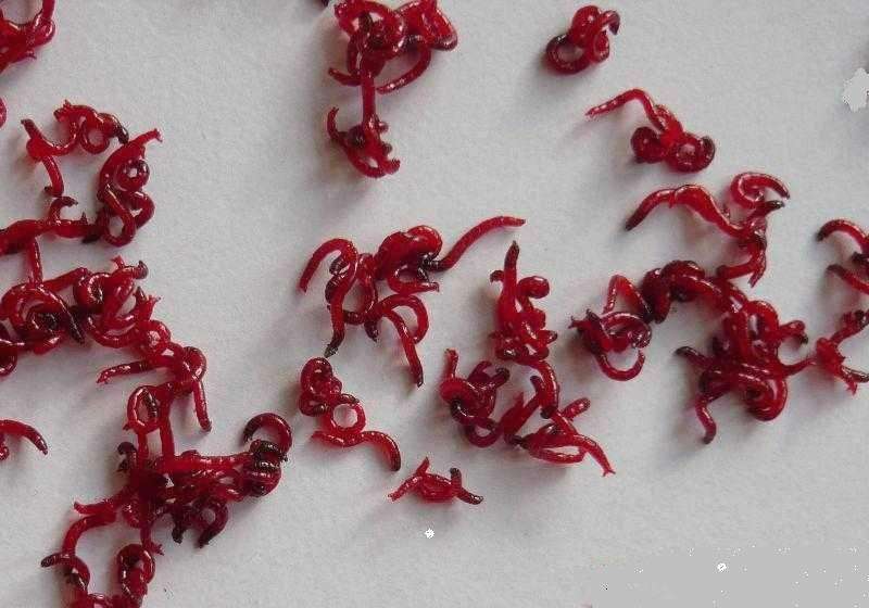 ##冬天怎么钓鱼？冬天的钓鱼技巧？