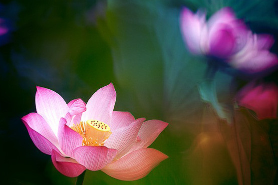 属鼠|3生肖翻身成锦鲤，9月底起如虎添翼，财气蒸腾，人生翻身转富裕