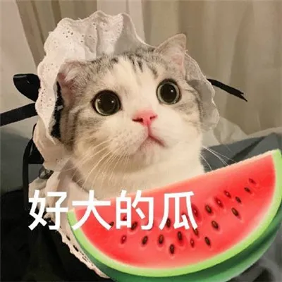 杨采钰|她和金主离婚了？