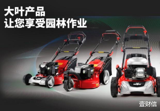 创业板|大叶股份的家族\大叶\指日可待，两兄弟多家公司共用商号