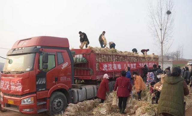 央视|央视主播读错县名，结果却意外刷屏，网友：千万广告费都没这效果