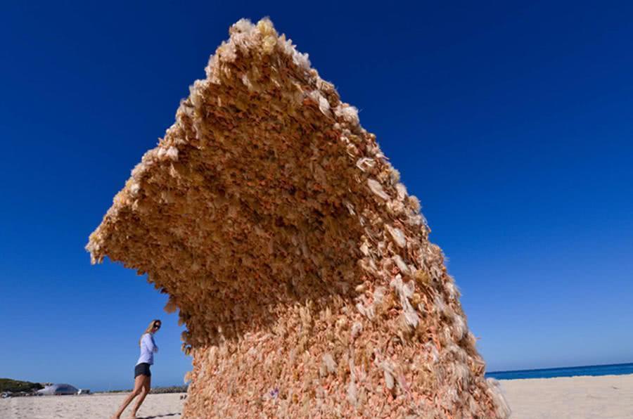 澳大利亚海边一个可以“遮阳墙壁”, 不少人躺下后就拔腿就跑