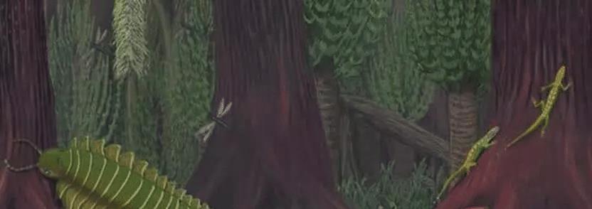 #水底奥秘#把最大蜈蚣当宠物？若遇到3米长古蜈蚣王，小心被它吃掉