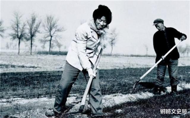 银元|1982年，青海兄妹挖到6万余枚银元，价值超36万却无私上交