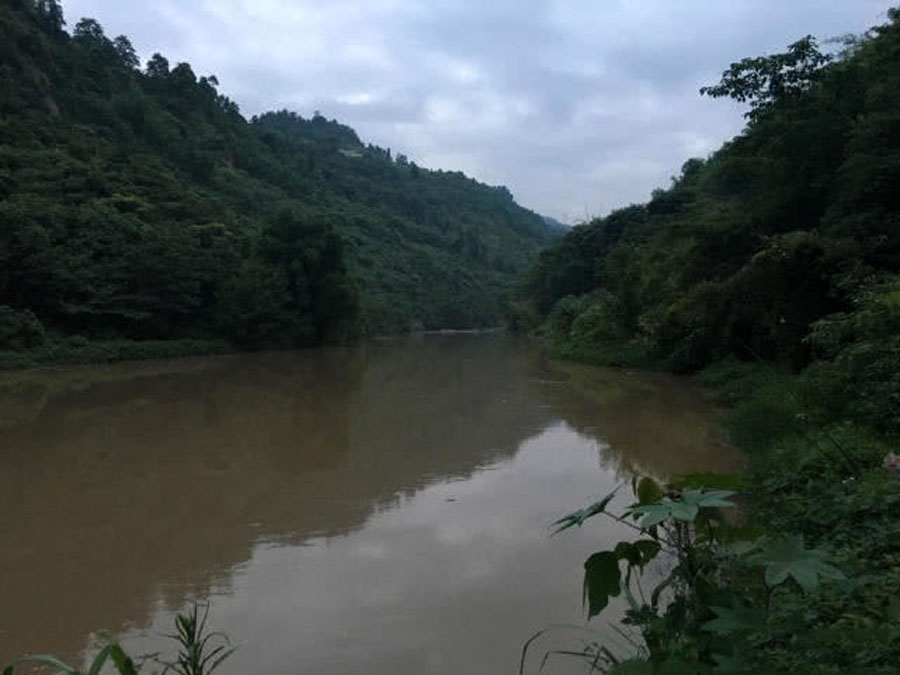 ▲洪水过后去钓鱼，这么大的黄颡鱼，还是头一次钓获