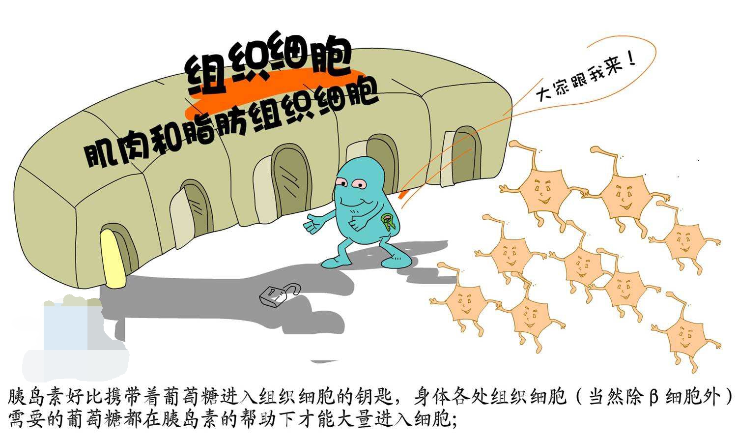 【血糖】他是伴随糖尿病全过程，是导致糖尿病并发症的罪魁祸首，注意调整这一点