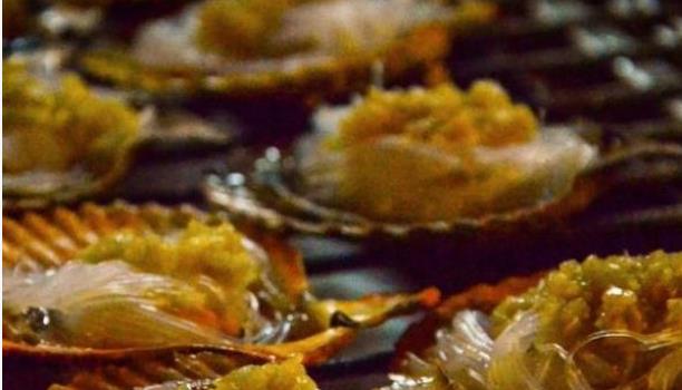 北海|中国“最适合”养老的城市，一年四季温暖如春，海鲜几乎不要钱