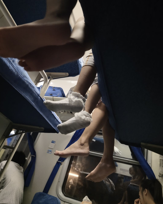 鲫鱼|“在山洞捡到的狗子，这也太可爱了吧”它妈妈看你更可爱哈哈哈