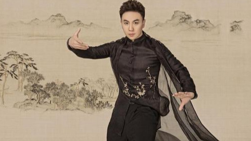 「释小龙」释小龙：童星出道，2岁学武，5岁出演电影，被称为李连杰接班人