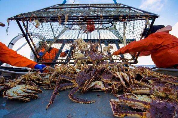 死亡率|世界上最危险的职业，一年工作五天就能赚70万，死亡率是很高的