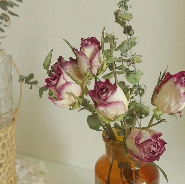 【】韩国30岁单身女孩，公开独居十年的公寓火遍油管：自由工作的日子，真的太爽了