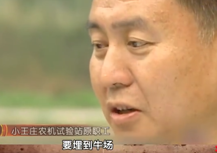 杨振宁|??她是杨振宁师姐、核武专家，却从美国跑到中国，放了一辈子牛