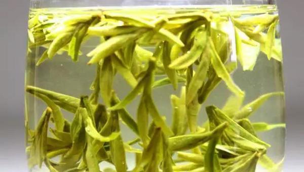 安徽|一个拥有中国十大名茶最多的地方