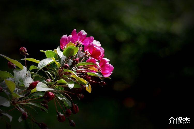 运势|9月底迎来大把好运，霉运见了绕着走，满面红光的四大生肖！