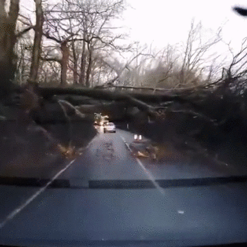 「霍金」“霍金：“曾预言21世纪冲击人类的不是人工AI而是病毒？”