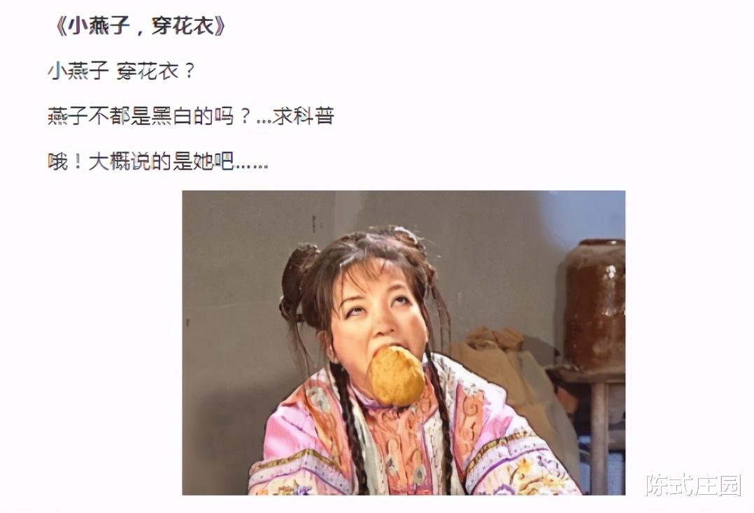 大学|这些奇葩歌词 , 困扰了我的小学直到大学 , 哈哈