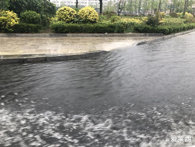 【成都】昨天，莱西市全城人足不出户在家“看海”