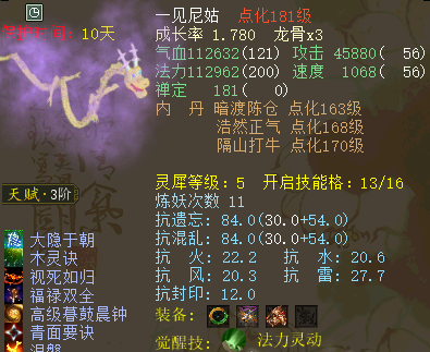 「大话西游2」大话西游2：暴殄天物！佩服把神兽练成普通宝宝的人