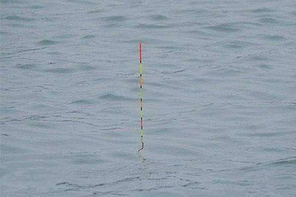 「」窝料打下去后，怎么都不发窝，到底是没有鱼，还是死窝了