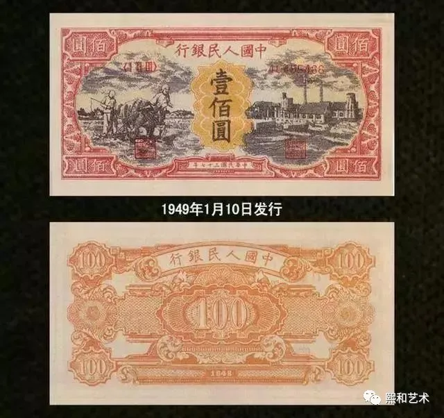 荷花|百元大钞大比拼！到底谁最“壕”？