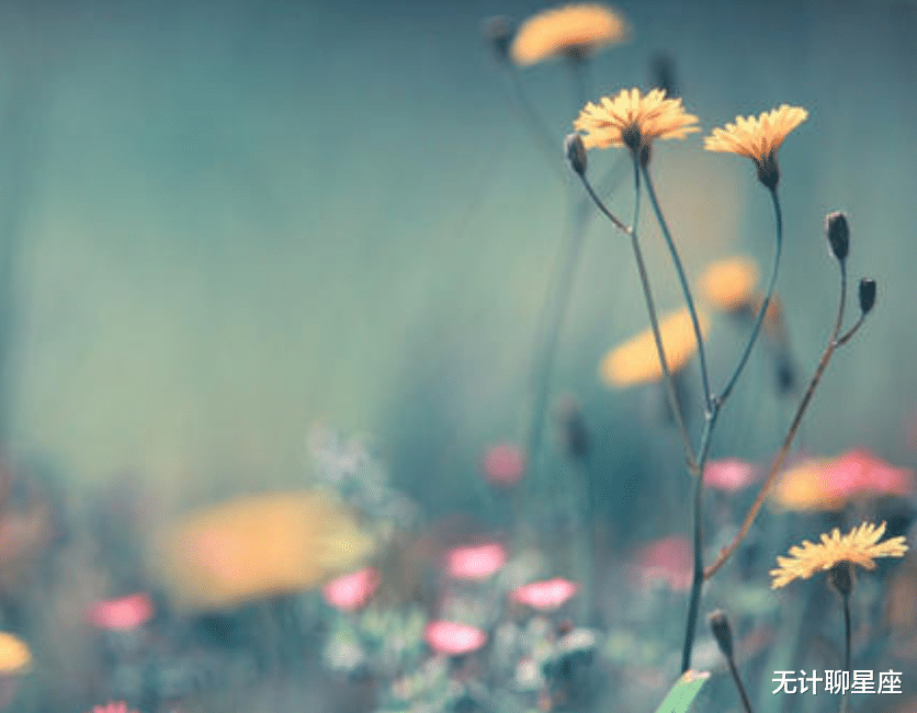 |未来一周，迎接贵人、得人相助的4个星座，抓住机会就是成功