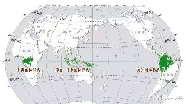 蟒蛇|世界上最大的蛇，为何都扎堆在热带雨林之中？这不是巧合