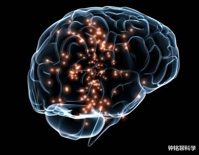 智人|人的大脑大约相当于多大内存？