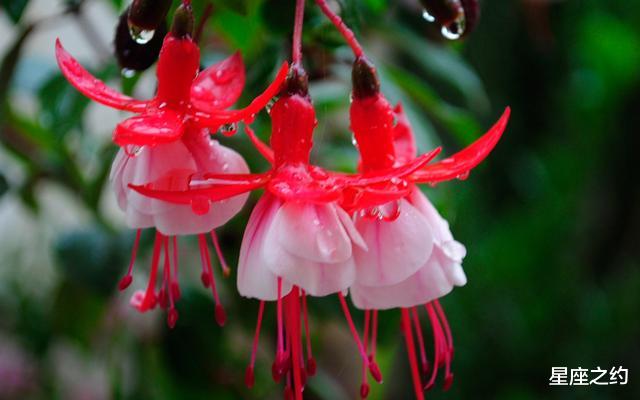 【生肖】5.19-21星座运势：白羊换位思考，天蝎劳逸结合，射手小心谨慎