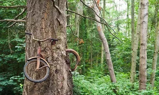 []时间的力量到底有多可怕？