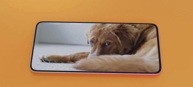 一加科技|vivo放大招,98%屏占比+骁龙875+5700mAh,这才是vivo旗舰