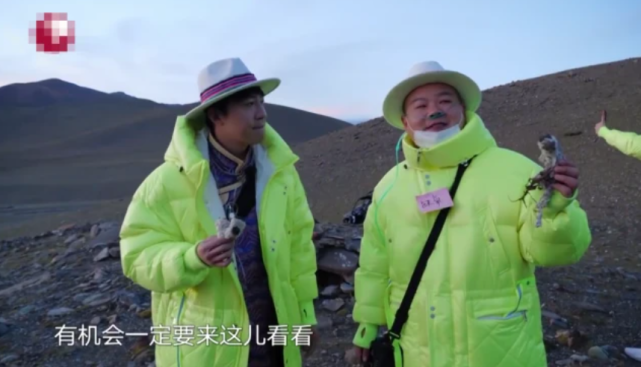 兔子|刘宇宁摘水母雪兔子惹争议，本人称是道具，植物学家揭开真相