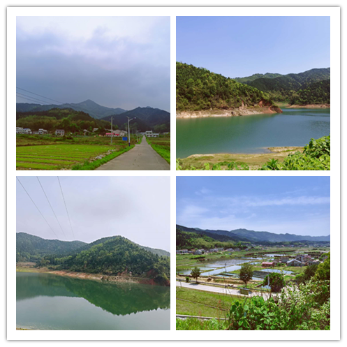 ##周末出游不知道去哪儿的看过来,小编给你推荐一个好玩的农家乐一日游