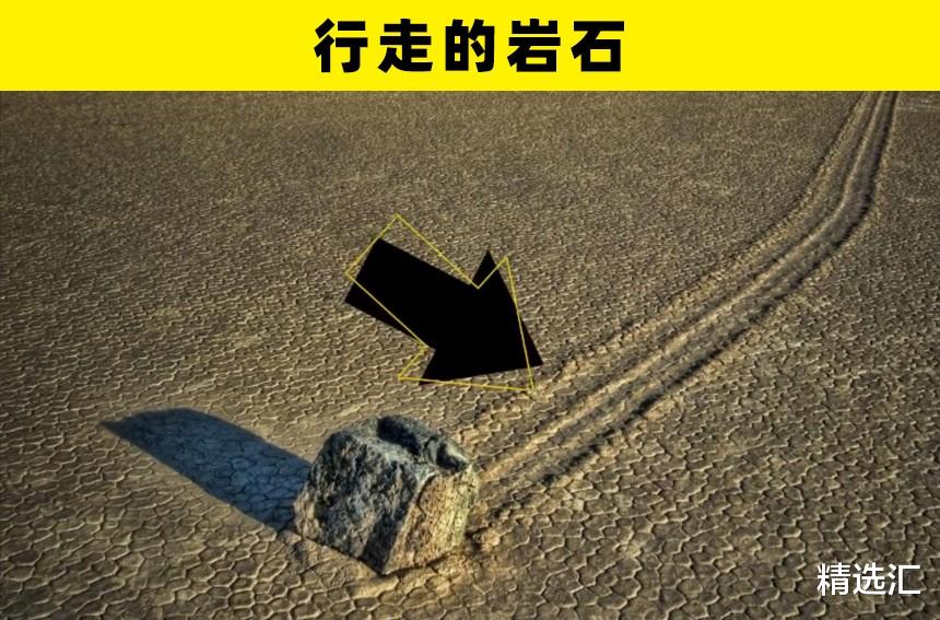 科学家|科学难以解释，但真实存在着的8个自然现象