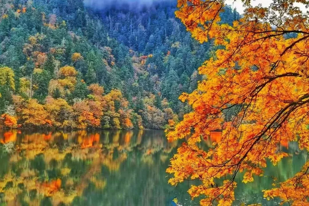 九寨沟:除了九寨沟,阿坝到底还藏了哪些绝世美景?