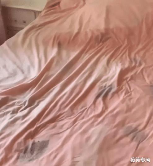 |“女朋友睡觉踢被子，我怕她冷把空调关了”哈哈哈这床单不能要了