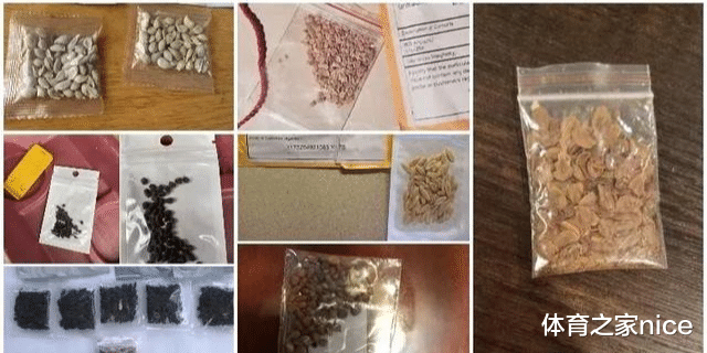 美国|中美联合调查“来自中国的神秘种子”，有人已经种出了番茄和瓜？