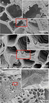 6g|我国火星探测器已抵达发射场；三星今年将全面研究6G丨科技早新闻