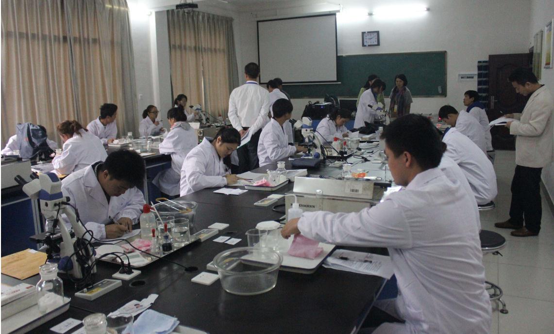 『填报志愿』高三填报注意：英语成绩不好，这7大专业不能报，不然学得很吃力